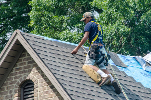 Quick and Trustworthy Emergency Roof Repair Services in Williamstown, PA